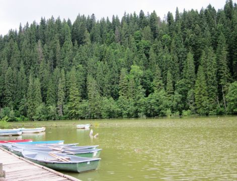 gyilkosto.jpg